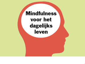 alt=tekst mindfulness in hoofd afgebeeld, spiritueel.'/>.